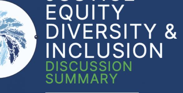 Summary of discussion on justice, equity, diversity & inclusion